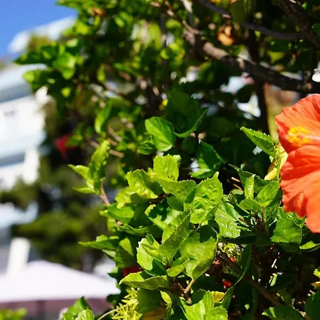 Appartamento Coral La Quinta Park *